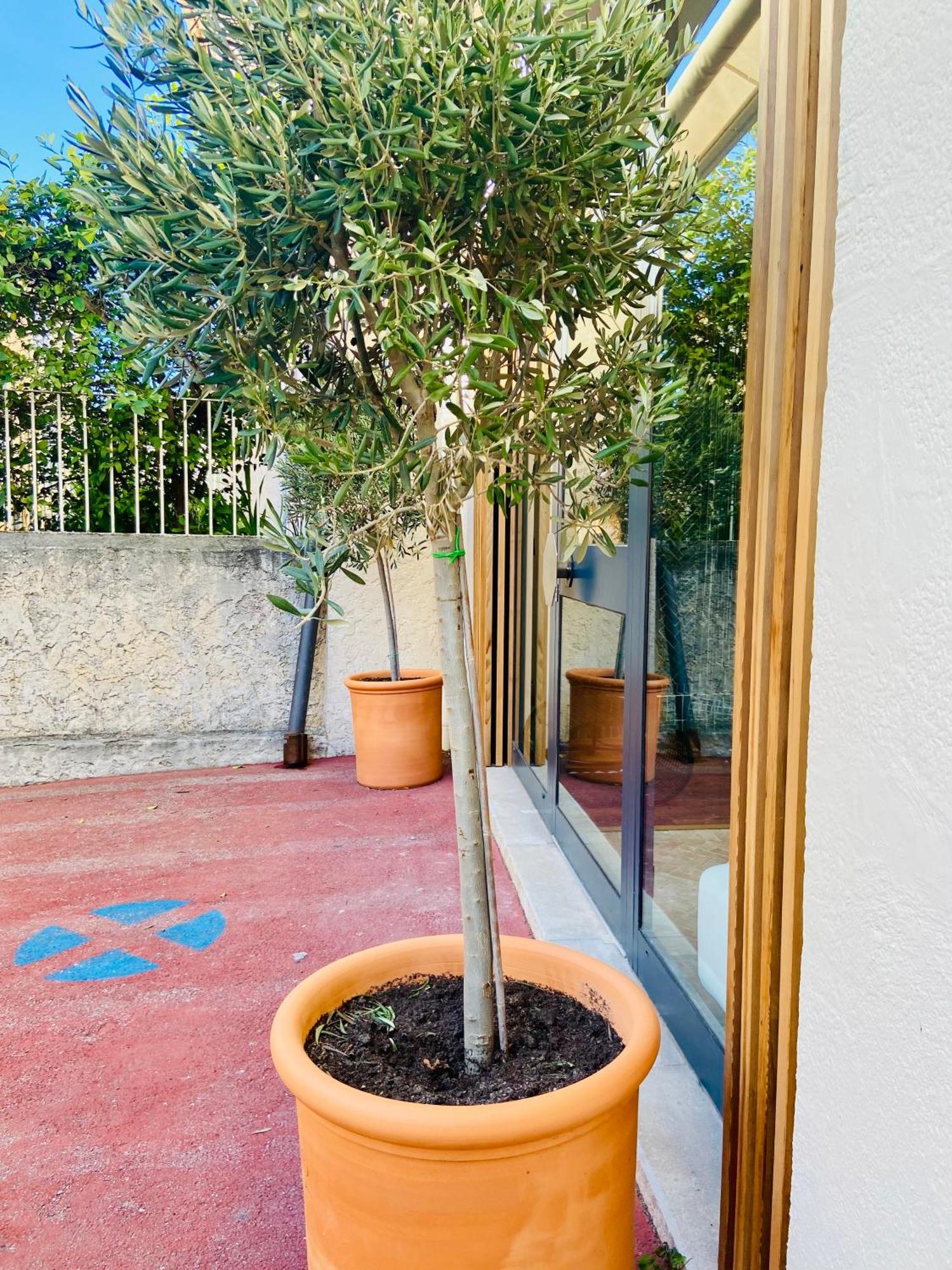 Cassis Grande Terrasse Emplacement Au Top A 1 Minute De La Plage A Pieds Bagian luar foto